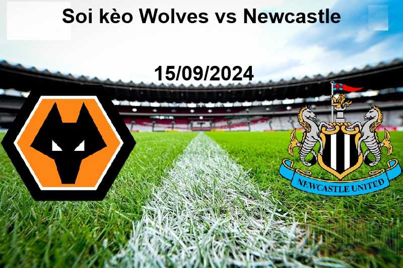 Soi kèo Wolves vs Newcastle 15/09/2024