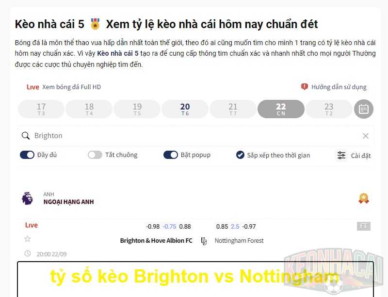 tỷ số kèo Brighton vs Nottingham